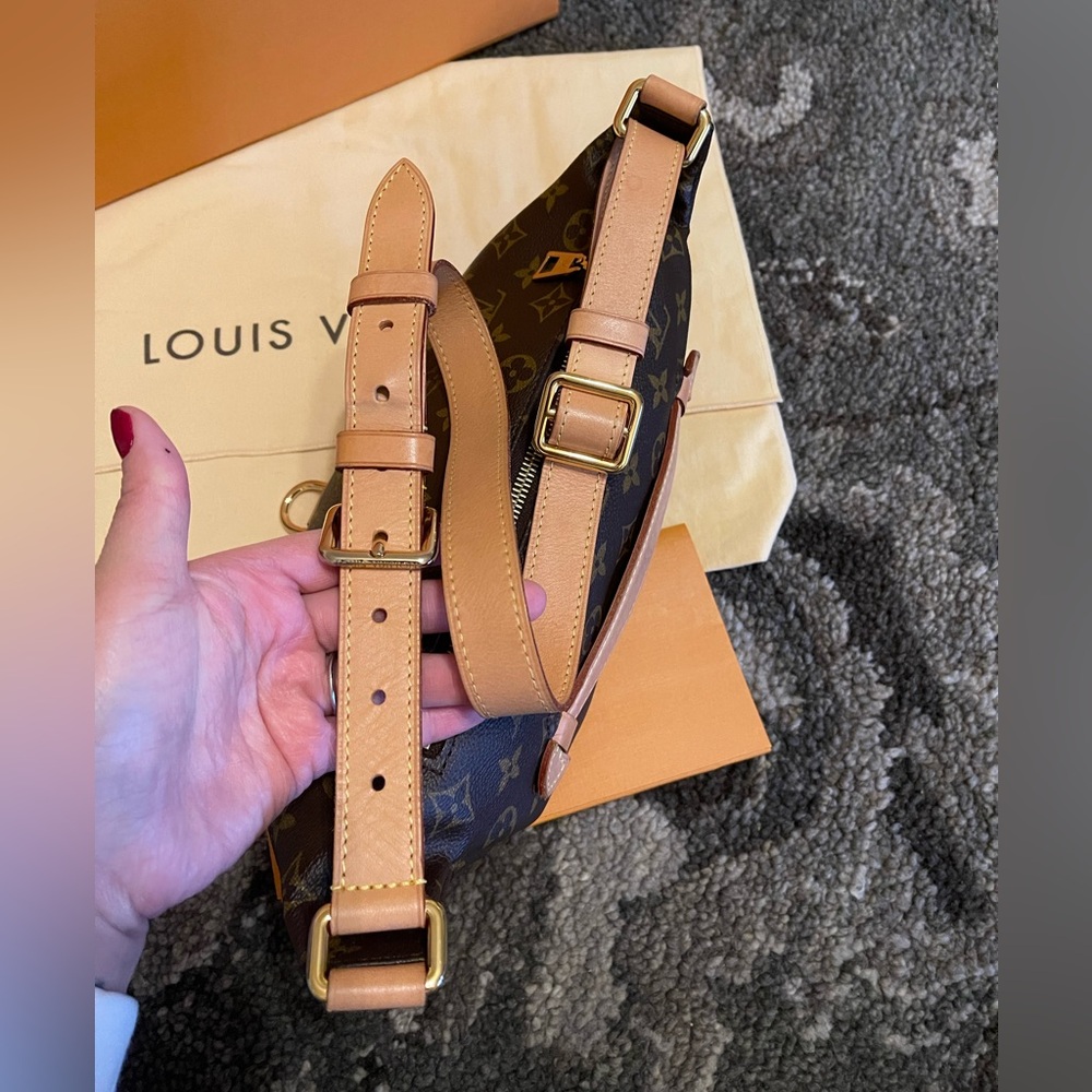 Louis Vuitton Monogram Bum Bag - Picture 9 of 17